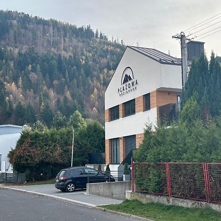 Plazowa Gray Apartament شتوروك المظهر الخارجي الصورة